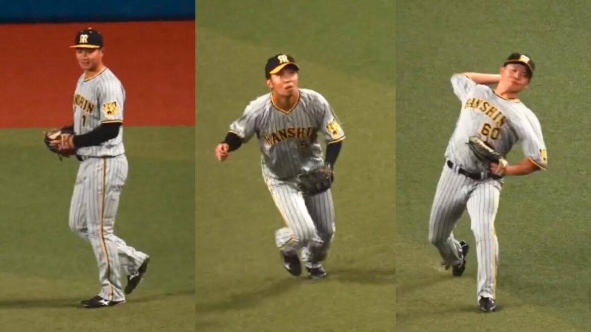 【阪神】森下翔太&島田海吏&小野寺暖、試合前の外野シートノック!9月24日 阪神vs中日