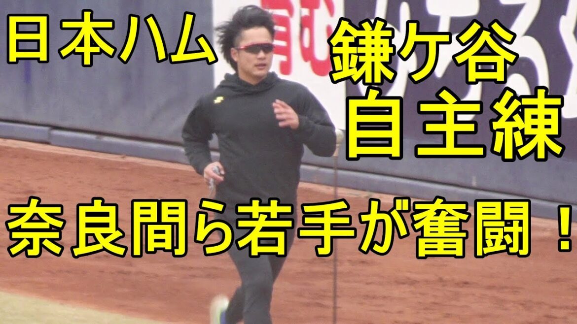 日本ハム若手が奮闘!鎌ケ谷自主練習2023.12.5