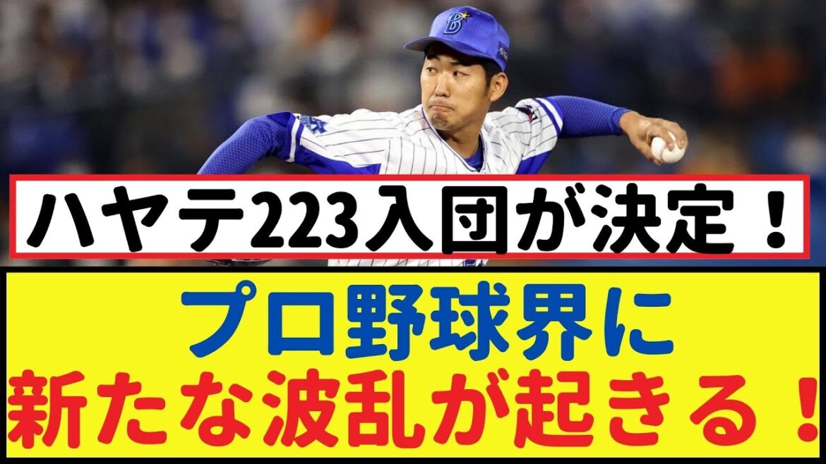 元DeNA池谷と田中健二朗、ハヤテ223入団が決定!プロ野球界に風穴を開ける!【なんJ反応】