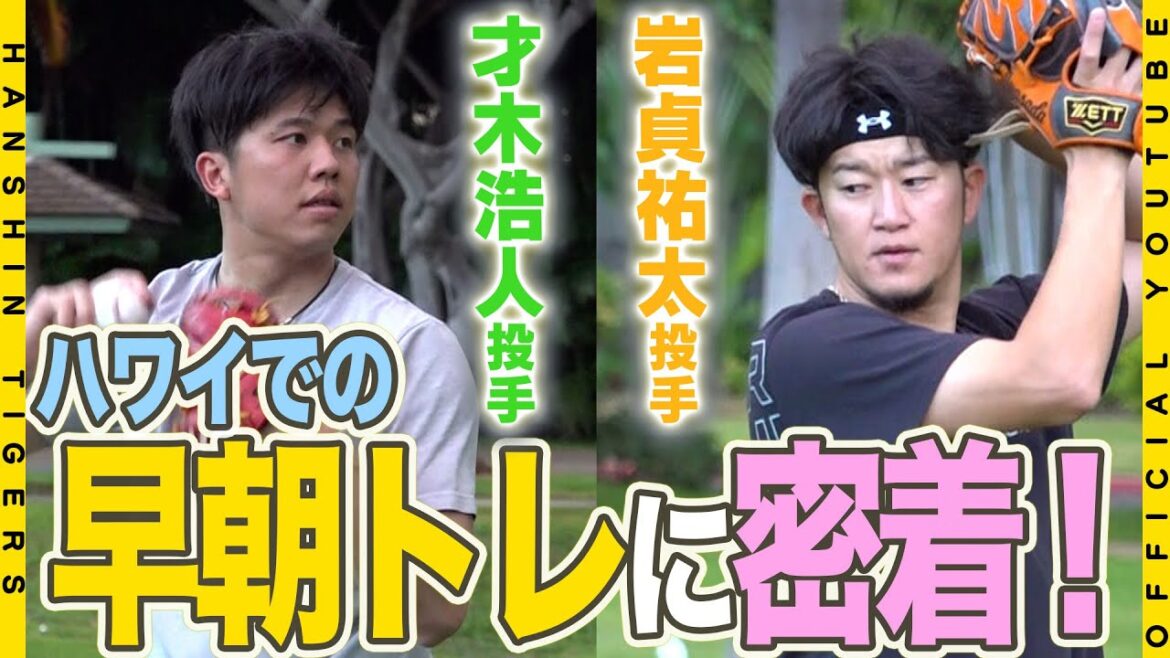 Hanshin-Tigers: 【優勝旅行④】来シーズンへ向けハワイでも練習!#才木浩人 投手と #岩貞祐太 投手の早朝トレーニングに密着!ハワイの虹空の下でキャッチボールするふたりの姿をお届けします!