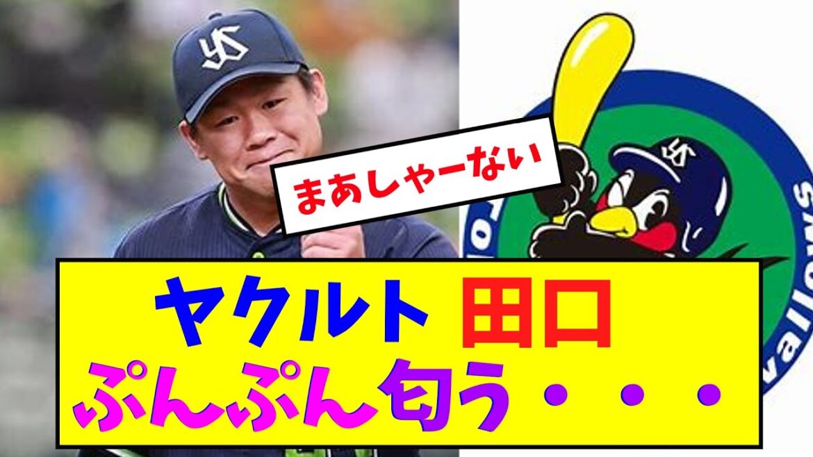 ヤクルト田口、ぷんぷん匂う・・・【なんJ反応】 ヤクルト田口、ぷんぷん匂う・・・【なんJ反応】