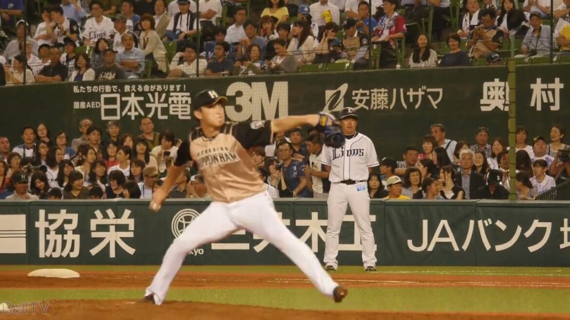 石川直也 投球フォーム 北海道日本ハムファイターズ