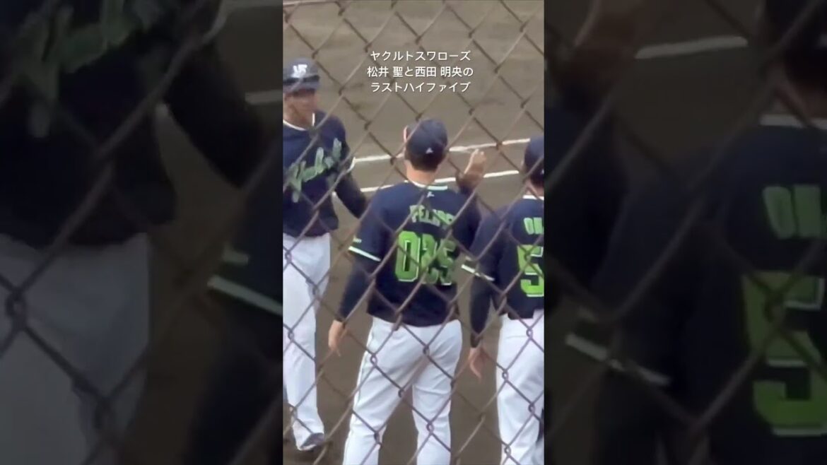 #ヤクルトスワローズ #松井聖 #西田明央