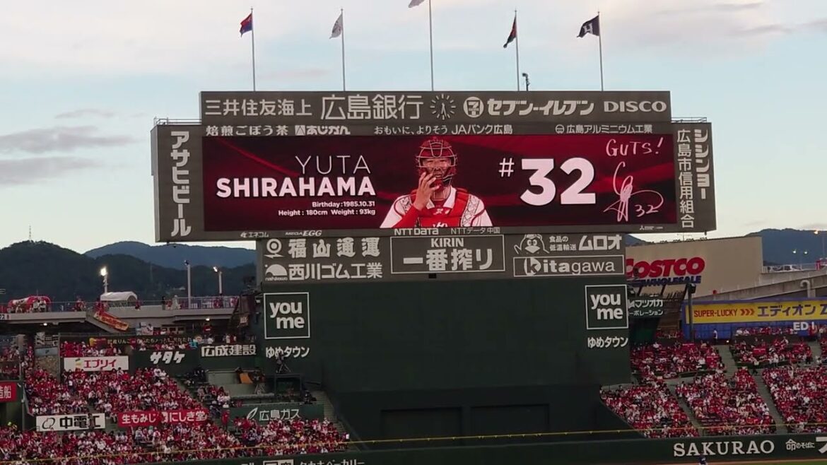 【2022】白濱裕太【選手紹介】