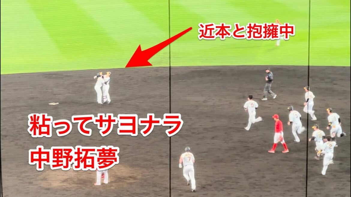 粘って粘って逆転サヨナラ中野拓夢 2023/4/18 阪神対広島戦 #hanshin #tigers #阪神タイガース