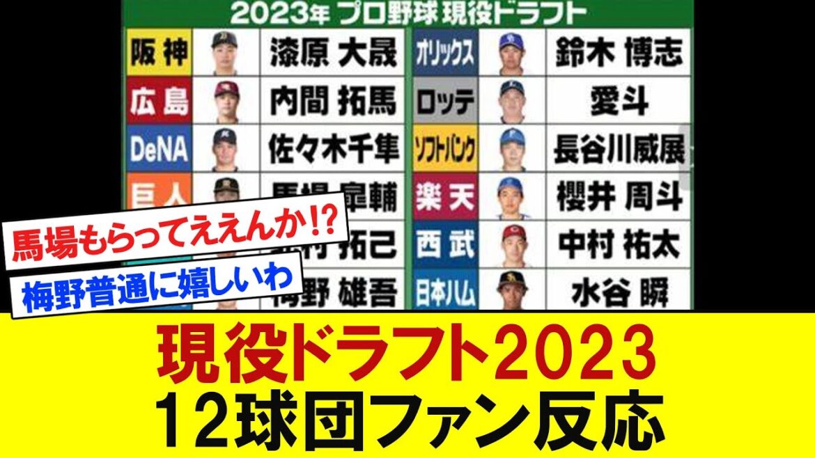 【球団別】現役ドラフト2023   12球団ファン反応　【プロ野球反応】