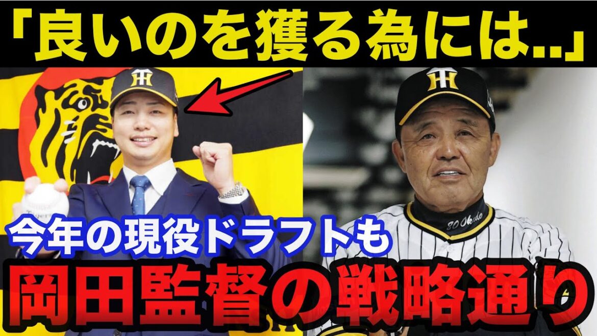 阪神.岡田監督がオリックス漆原大晟を現役ドラフトで獲得できた戦略に一同驚愕【阪神タイガース/プロ野球】