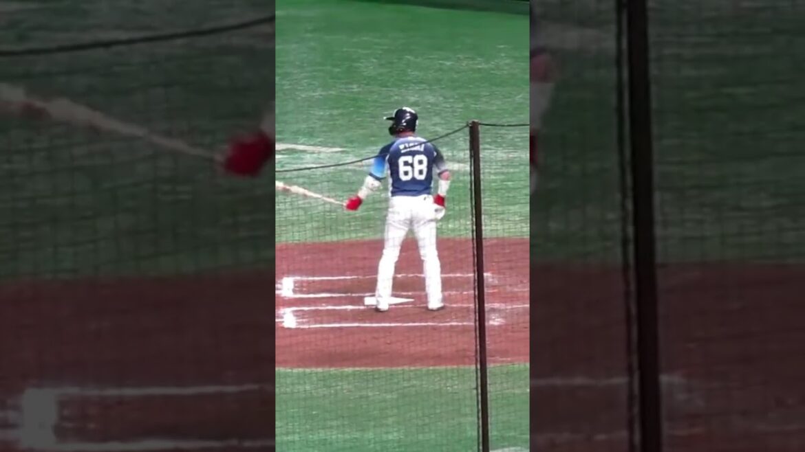 ライオンズ岸潤一郎の構え