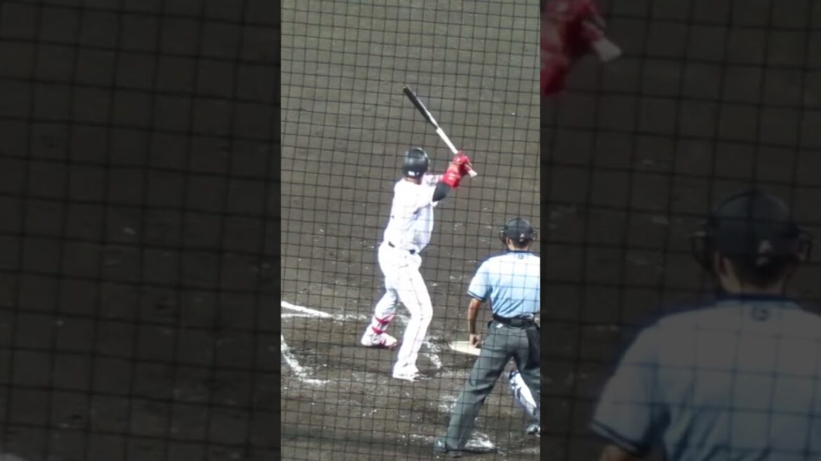 【ジャイアンツ】増田陸のバッティングフォーム＜読売ジャイアンツ対 横浜DeNAベイスターズ2軍戦2023年8月26日＞ #打撃フォーム