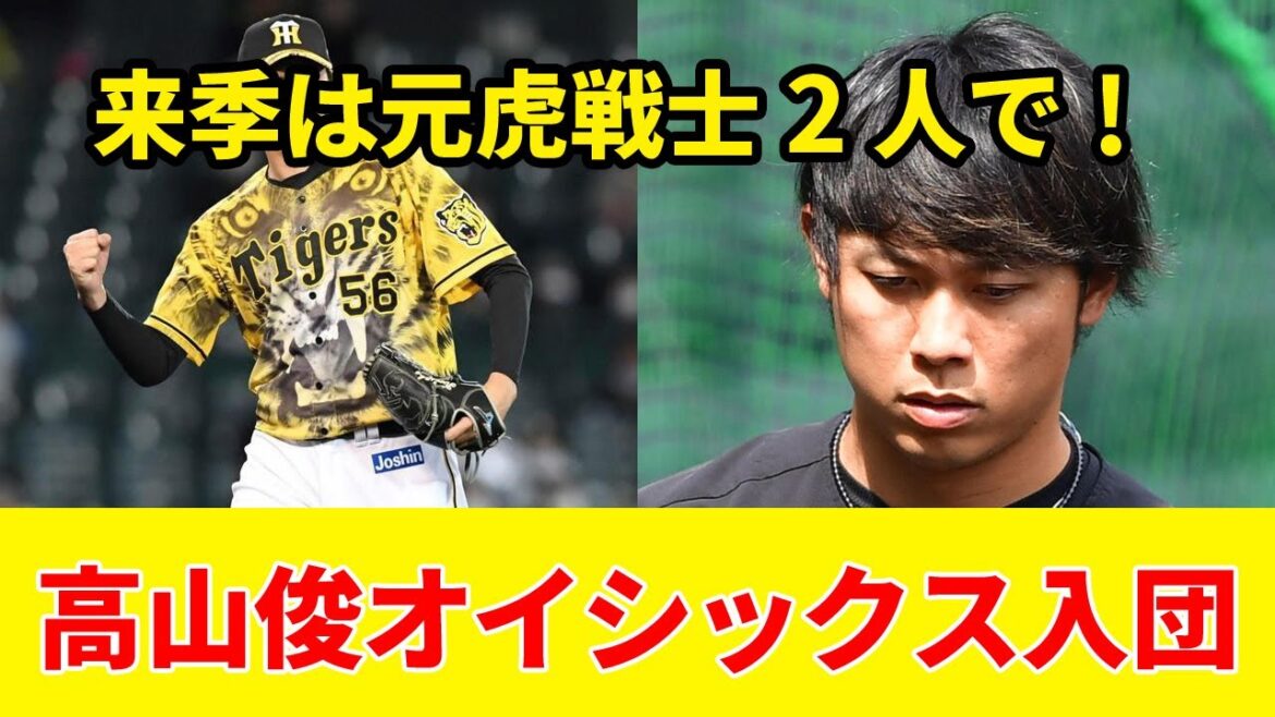 【元阪神】髙山俊が新潟に決定！来季は元同僚の虎戦士と一緒に
