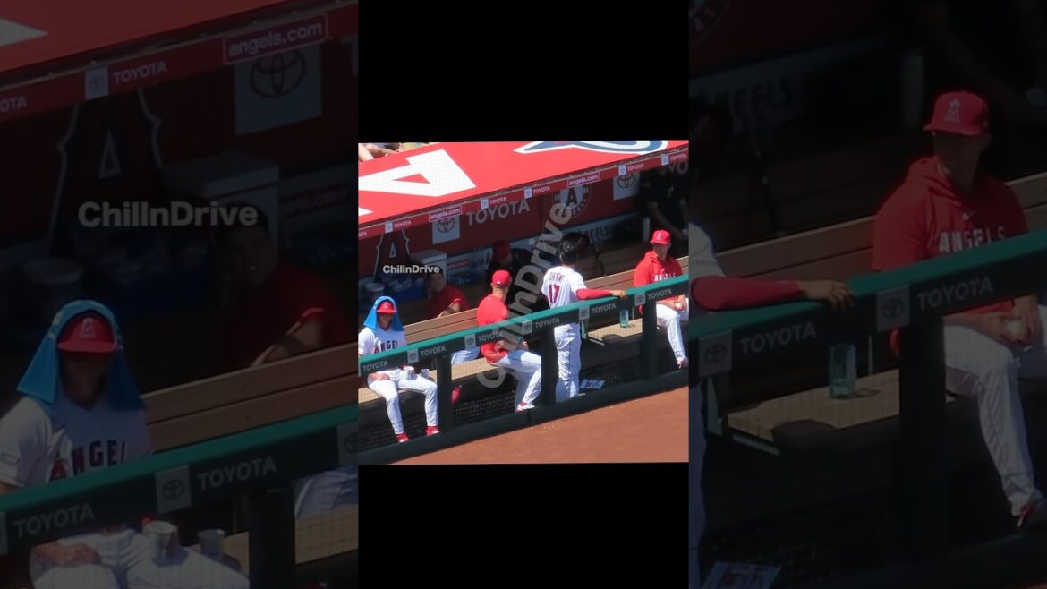 大谷さんにかまってほしくてスアレスがした行動がw #shorts #short #大谷翔平 #shoheiohtani #エンゼルス #angels #現地映像