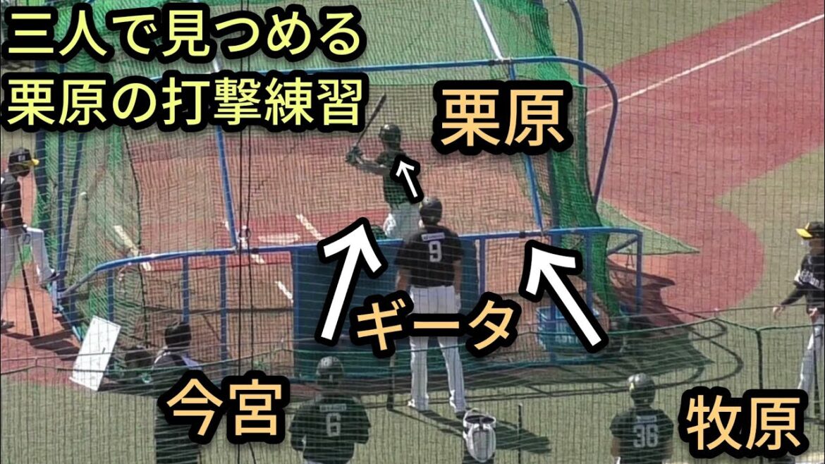 【柳田悠岐】 じーっと栗原陵矢の打撃を見つめるギータと今宮健太と牧原大成ｗ2021年9月23日 千葉ロッテマリーンズ 対 福岡ソフトバンクホークス