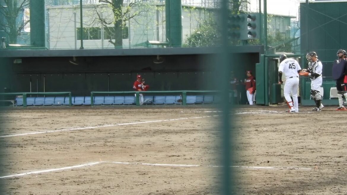 19.4.11　レイビンが打撃投手　宗接-山口　ロッテ浦和