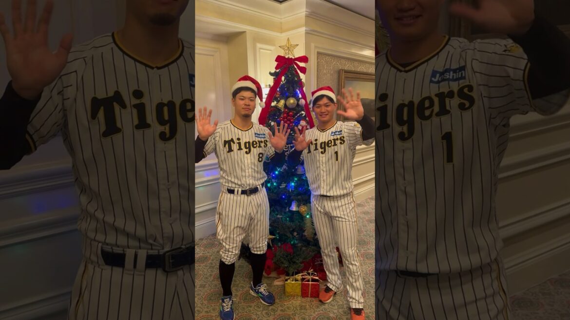 メリークリスマス🎄✨#阪神タイガース #shorts