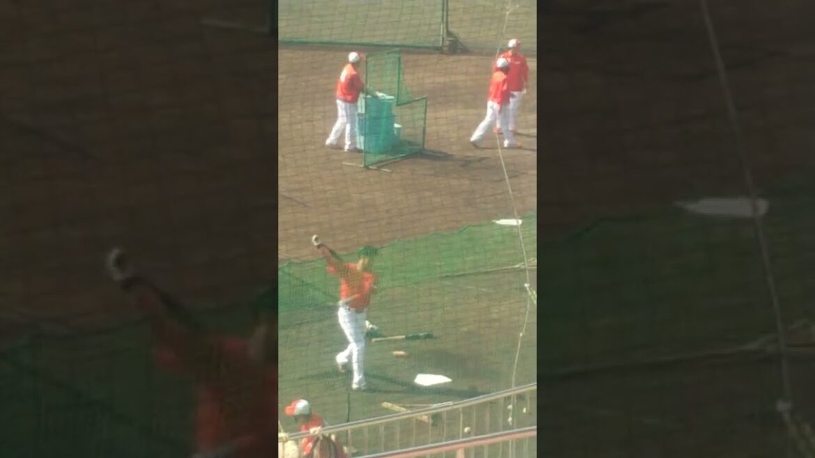 宇草孔基選手（広島カープ・法政大卒）のトスバッティング　～秋季日南キャンプ2022～