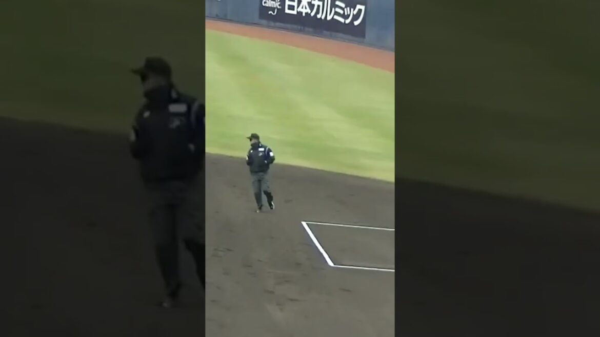 ベイスターズ田中俊太 ライト前ヒットでアピール【プロ野球12球団合同トライアウト2023年11月15日】