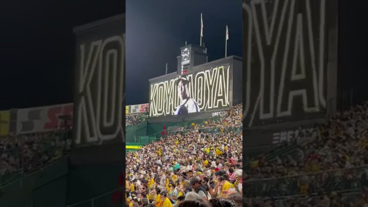 #50 青柳晃洋 登場曲 阪神タイガース 「紅葉に抱かれて」50TA