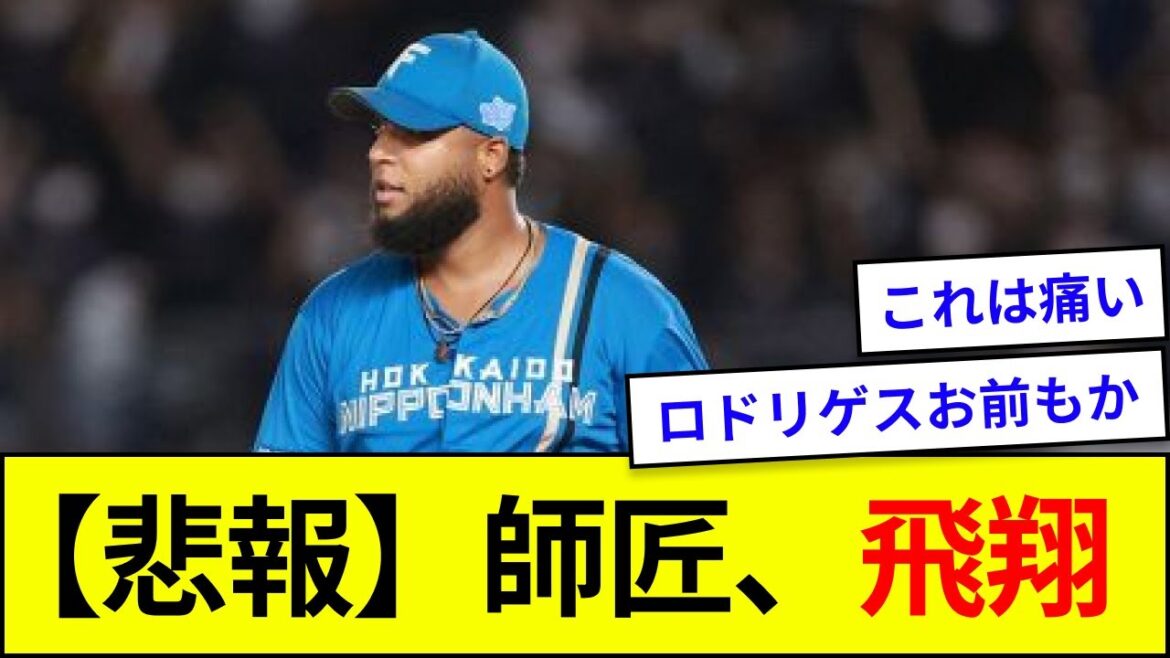 【悲報】日ハム・ロドリゲス、飛翔【5ch反応】