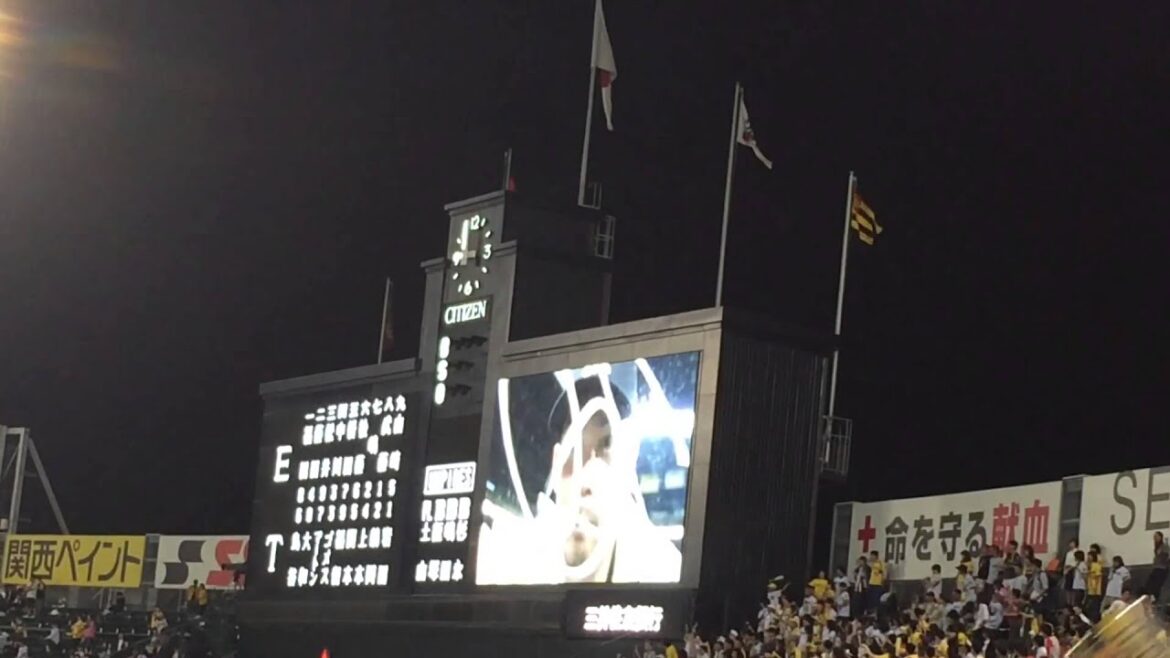 阪神タイガース　岩田稔 カメラサイン