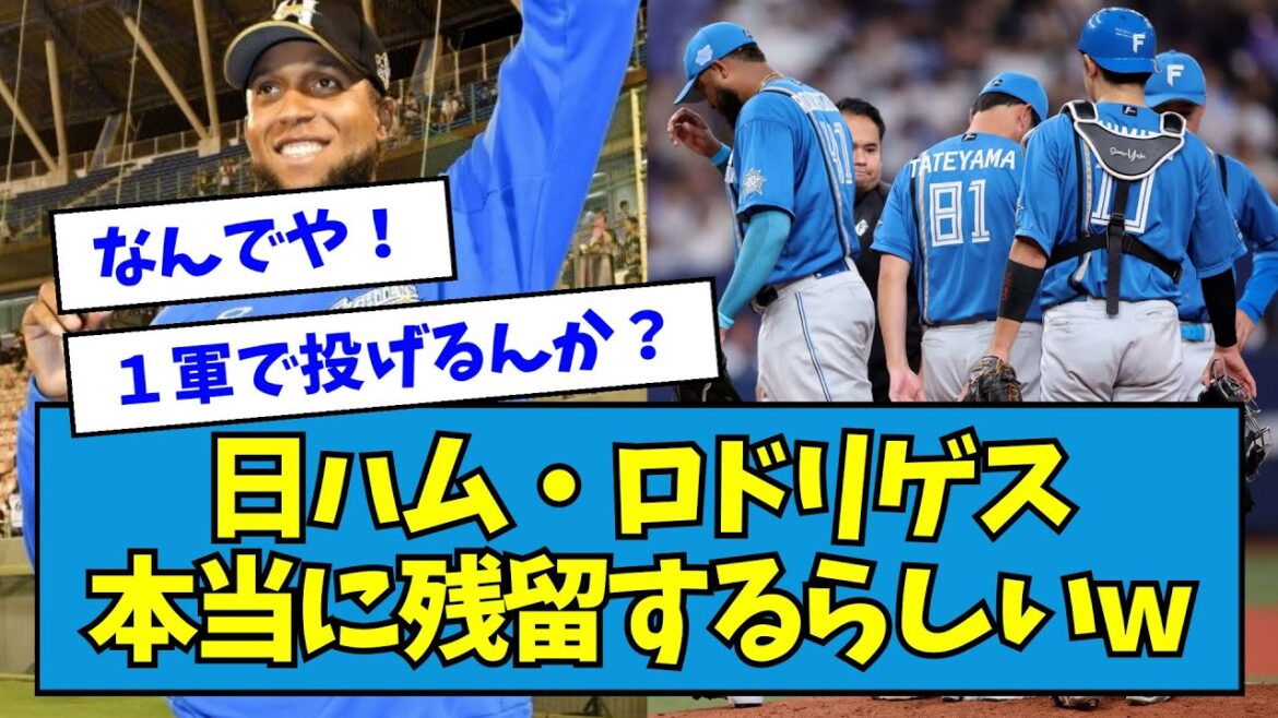 【来年先発】日ハム・ロドリゲス本当に残留するらしいwwwwwwwwww【なんJ反応】