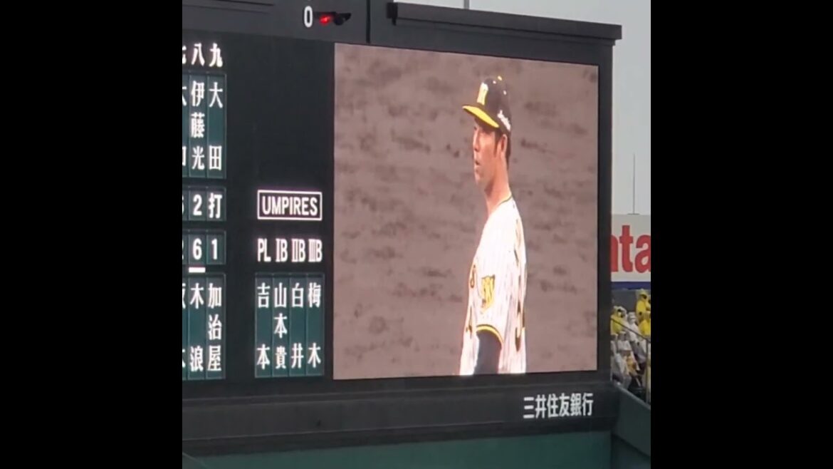 20230513　ｵｰﾛﾗﾋﾞｼﾞｮﾝ映像で見る、加治屋蓮の投球練習　#shorts　阪神ﾀｲｶﾞｰｽ@阪神甲子園球場･ﾚﾌﾄ外野