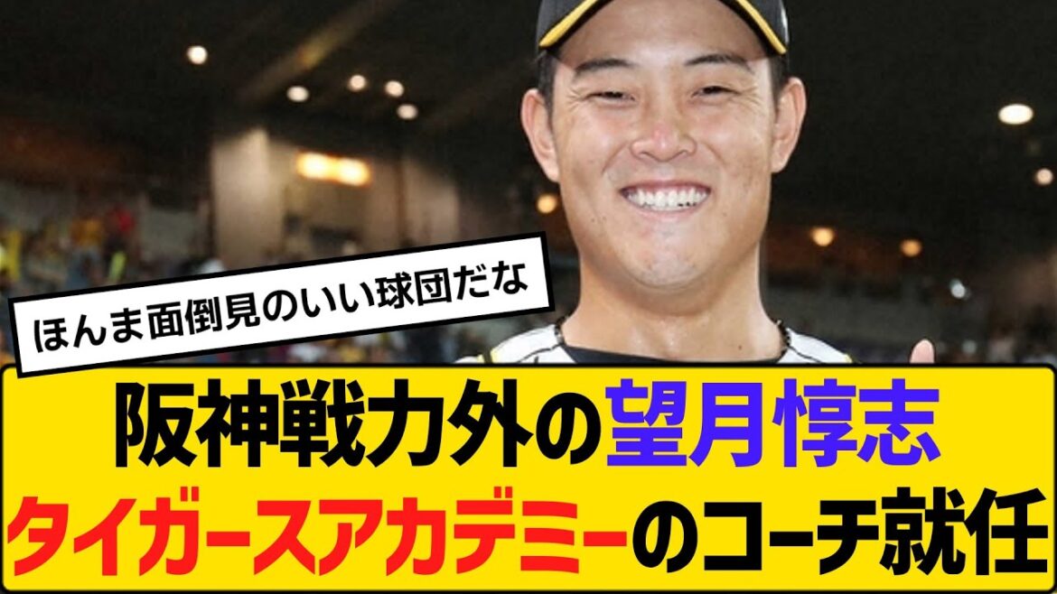 阪神戦力外の望月惇志タイガースアカデミーのコーチ就任へ【2ch】【5ch】【反応】 阪神戦力外の望月惇志タイガースアカデミーのコーチ就任へ【2ch】【5ch】【反応】