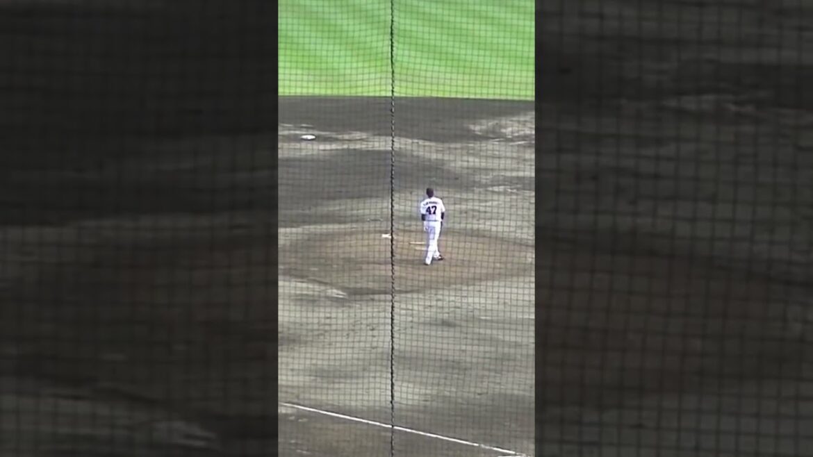 王柏融の素晴らしいセンター前ヒット　イースタンリーグ読売ジャイアンツ対北海道日本ハムファイターズ2022年6月12日