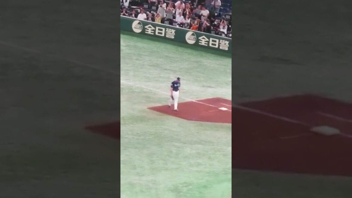 梶谷隆幸サヨナラヒットの時ペットボトルを二つしっかり用意してから飛び出す丸佳浩の様子〜2023年6月15日 巨人 対 西武