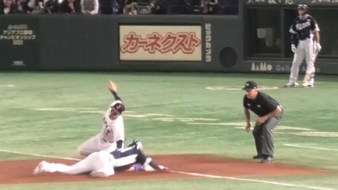 -2023.11.19-【アジチャン】４回表 万波中正 鬼肩披露もわずかに間に合わず… リプレイ検証も判定覆らず 侍ジャパン（vs韓国）