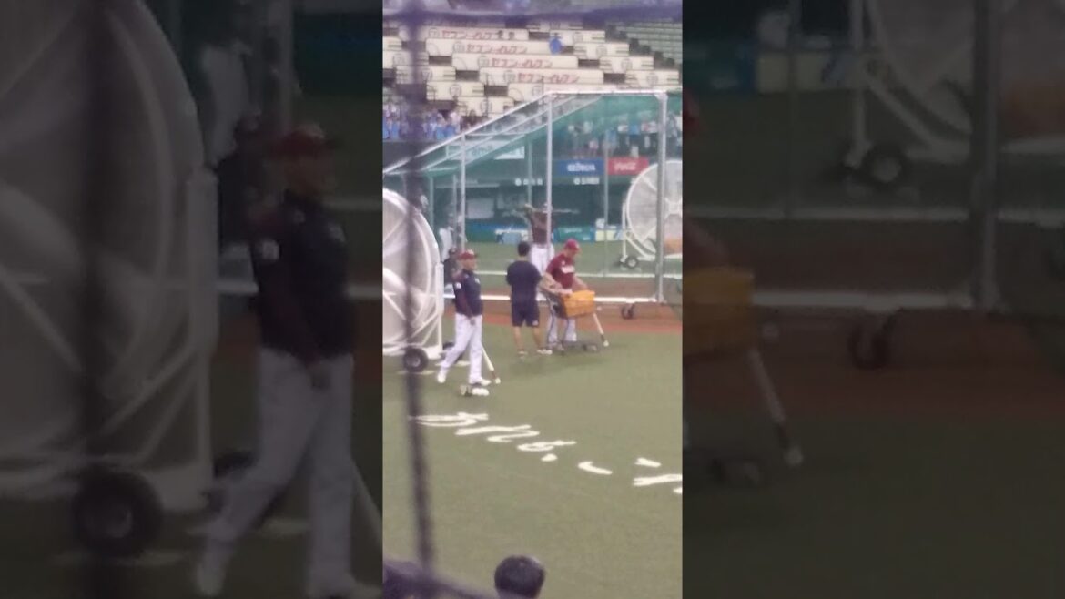 独特なバッティングフォームはここで形成されている？ 楽天イーグルスのジャバリ・ブラッシュ選手の打撃練習 20190806@メットライフドーム