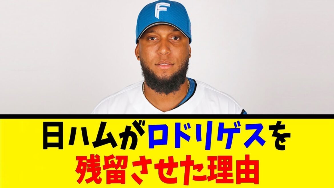 日ハムがロドリゲスを残留させた理由【反応集】【野球反応集】【なんJ なんG野球反応】【2ch 5ch】