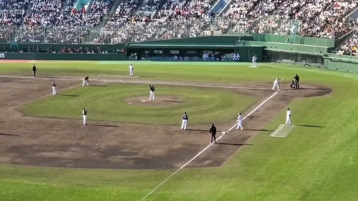 20230225　侍ｼﾞｬﾊﾟﾝのｻﾎﾟｰﾄﾒﾝﾊﾞｰ♪【重信慎之介 応援歌】6回ｳﾗ　読売ｼﾞｬｲｱﾝﾂ(巨人)@ひなたｻﾝﾏﾘﾝｽﾀｼﾞｱﾑ宮崎［侍ｼﾞｬﾊﾟﾝ強化試合］