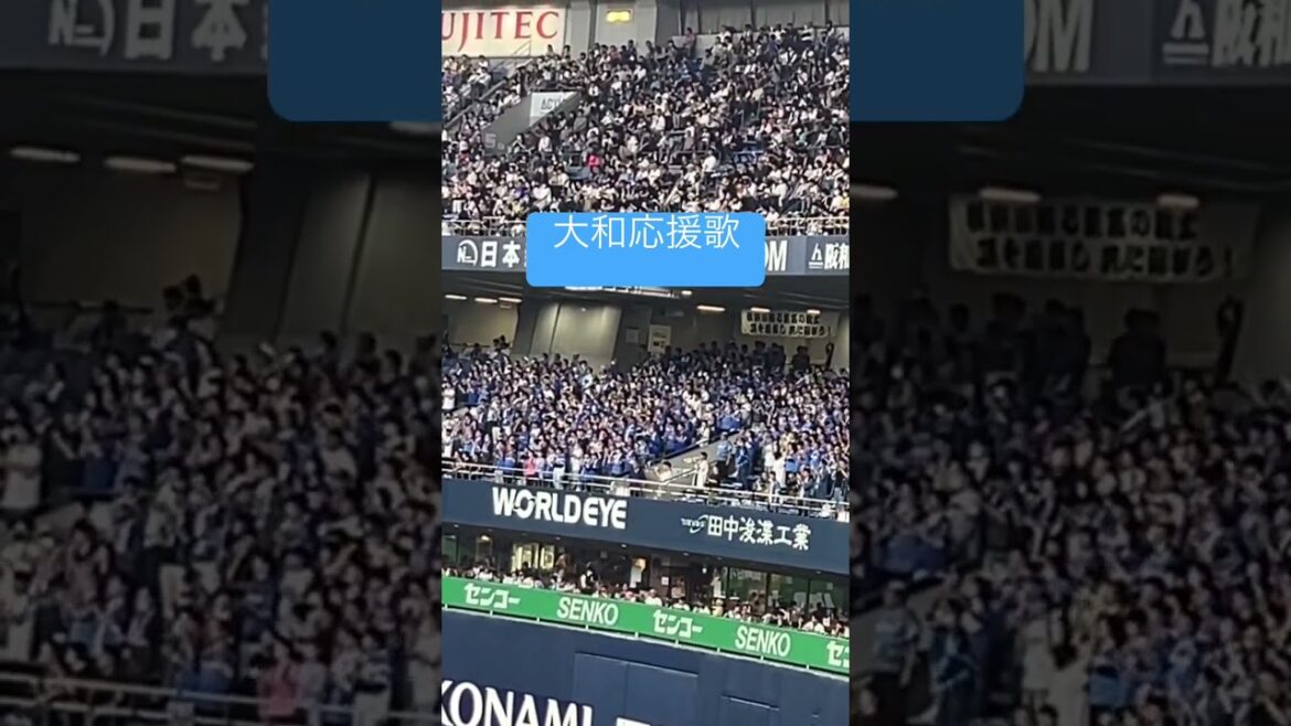 【応援歌】大和