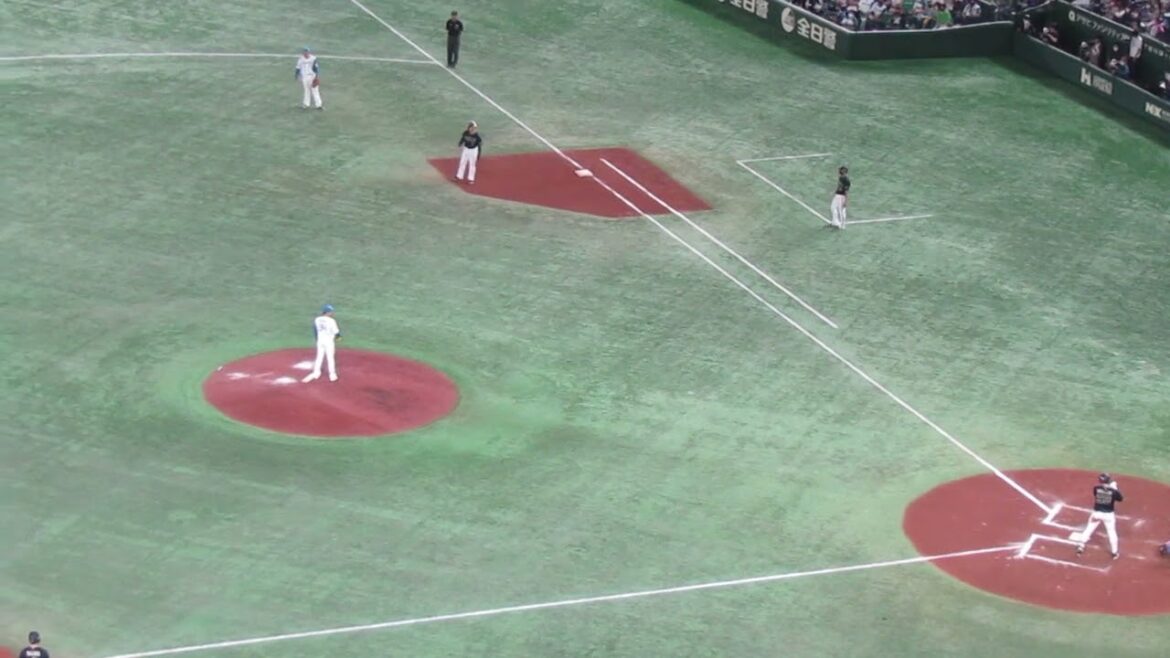 堀瑞輝 二死満塁で杉本裕太郎を抑える （日本ハムファイターズVS.オリックスバファローズ2022/4/26)