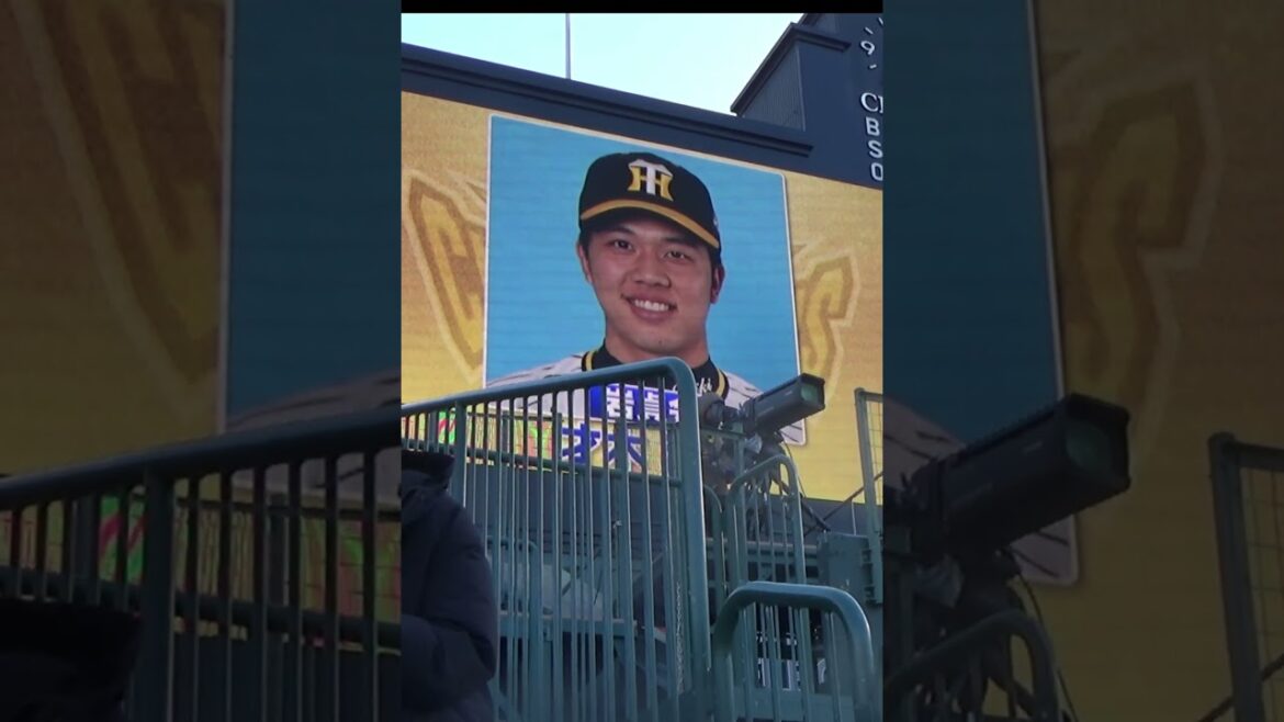 阪神タイガースファン感謝デー2023⑨【野球シチュエーションマッチ・岩貞会スタメン発表】#阪神タイガース #ファン感謝デー #shorts