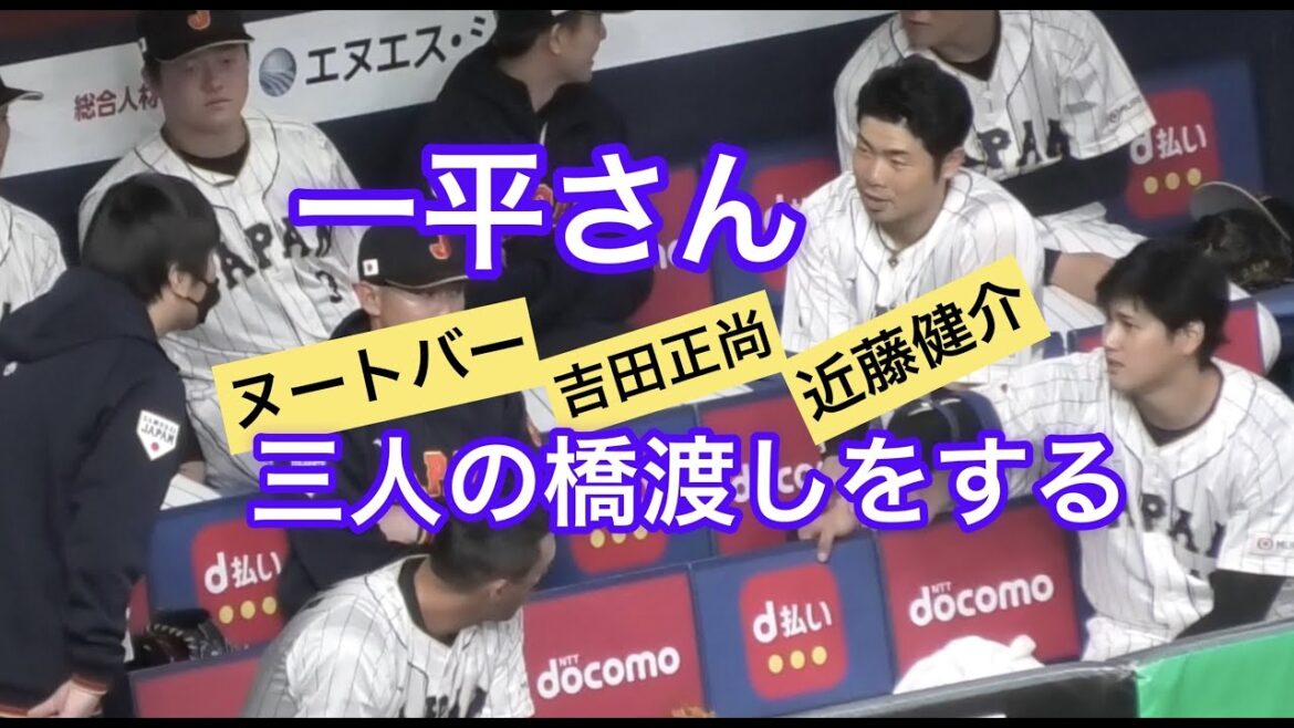一平さんがヌートバー＆吉田正尚＆近藤の橋渡しをするWBC