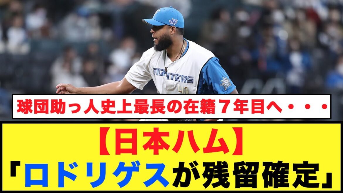 【日本ハム】「ロドリゲスが残留確定」球団助っ人史上最長の在籍７年目へ・・・【プロ野球反応集】#プロ野球 #日本ハムファイターズ #ブライアン・ロドリゲス