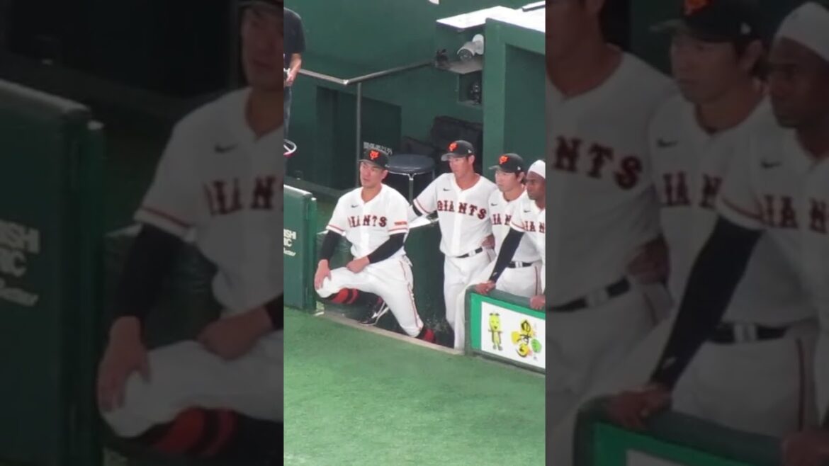 ベンチの端で応援する梶谷隆幸や小林誠司〜2023年5月20日読売ジャイアンツ対 中日ドラゴンズ