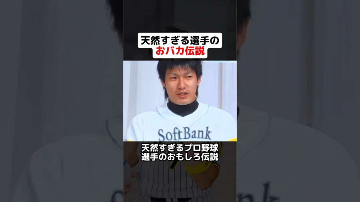 天然すぎるプロ野球選手のおもしろ伝説 #野球ネタ #プロ野球 #柳田悠岐 #長嶋一茂 #井川慶 #三浦大輔 #元木大介 #糸井嘉男