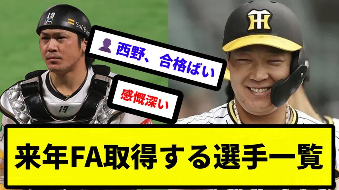 【果たして誰が出ていくか...】来年FA取得する選手一覧【反応集】【プロ野球反応集】【2chスレ】【5chスレ】