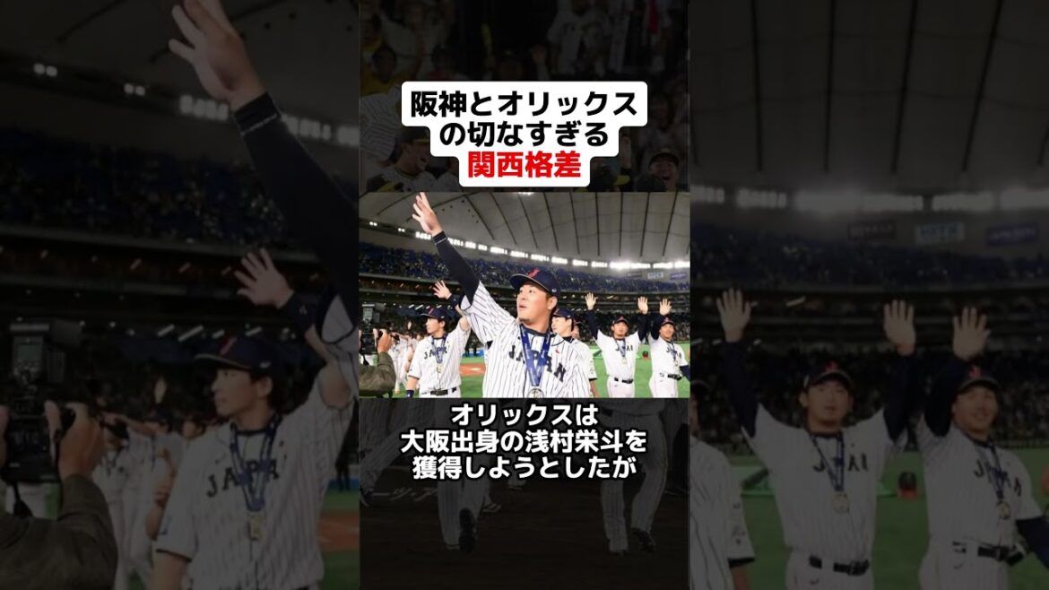 阪神とオリックスの切なすぎる関西格差 #野球ネタ #プロ野球 #阪神タイガース #オリックスバファローズ #山本由伸 #浅村栄斗