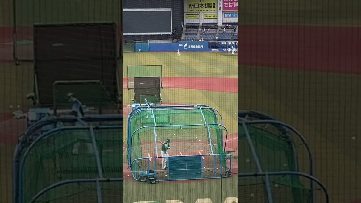 柘植世那の打撃練習@マリン