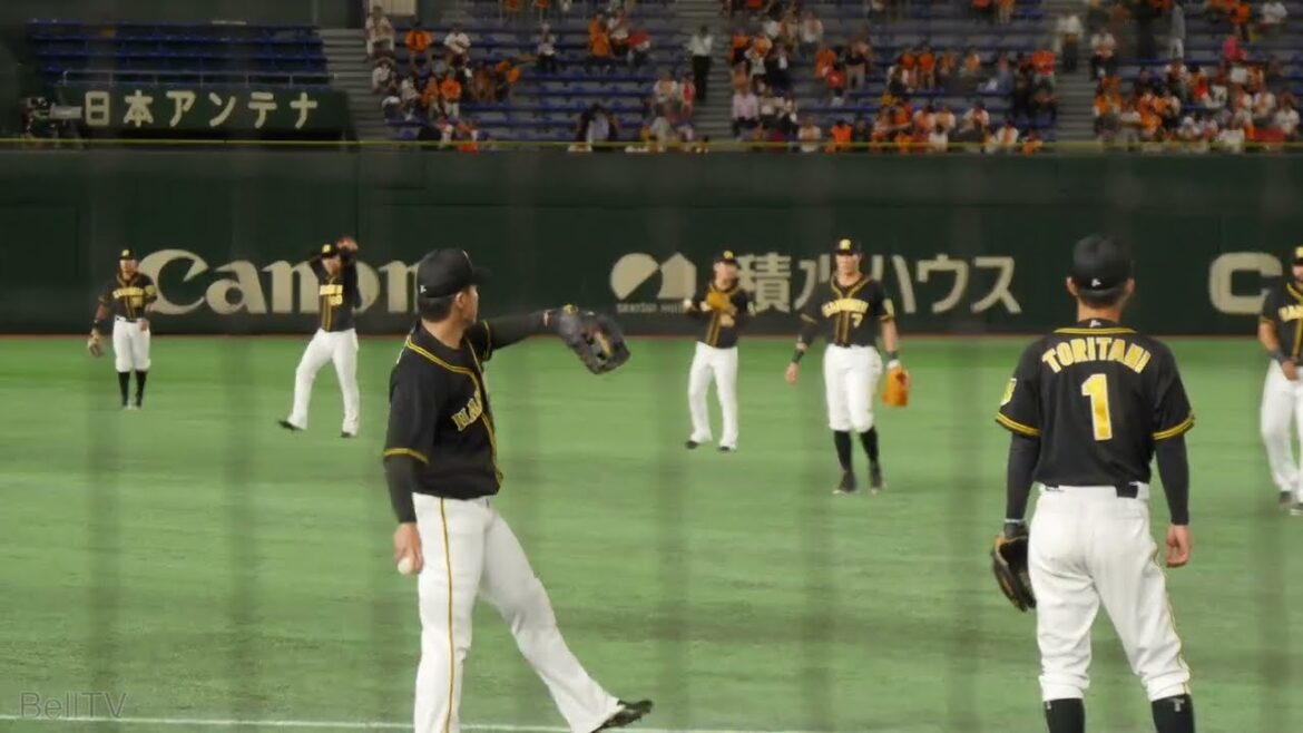 鳥谷敬、ロサリオ、糸井嘉男、陽川尚将、福留孝介のキャッチボール 阪神タイガース 鳥谷敬、ロサリオ、糸井嘉男、陽川尚将、福留孝介のキャッチボール 阪神タイガース