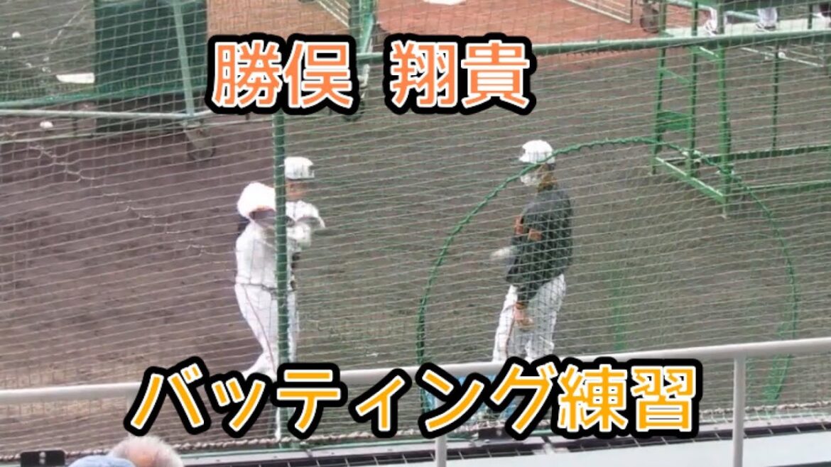 勝俣 翔貴のトスバッティング 2022年2月16日沖縄ジャイアンツキャンプ