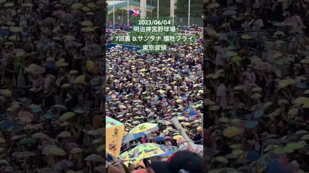 【東京音頭】D.サンタナ 7回裏 犠牲フライ(東京ヤクルトスワローズ) #セリーグ #プロ野球 #明治神宮球場 #東京ヤクルトスワローズ #応援歌 #D.サンタナ #東京音頭