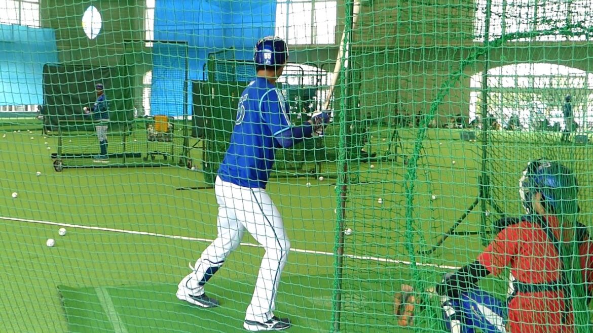 2020年2月16日 横浜DeNAベイスターズ ファーム春季キャンプ 田部選手 フリーバッティング練習