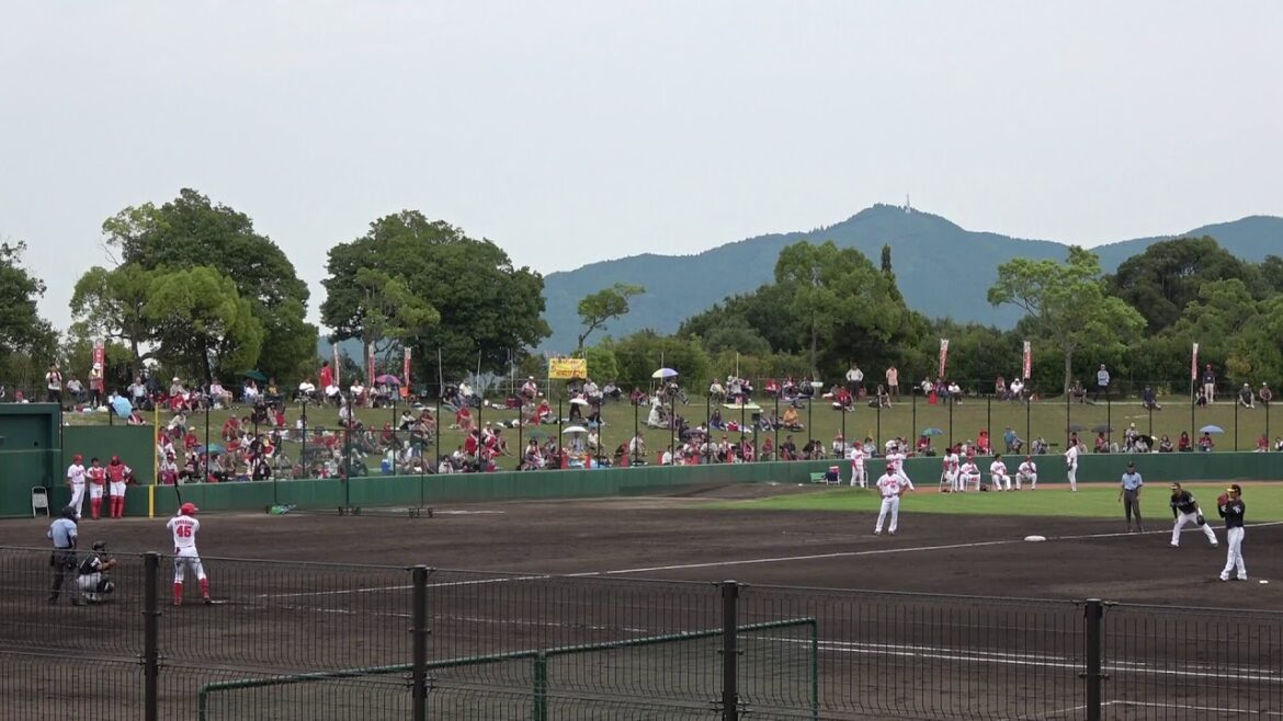桒原樹 タイムリーなど2安打1打点 20180906 広島カープ 二軍