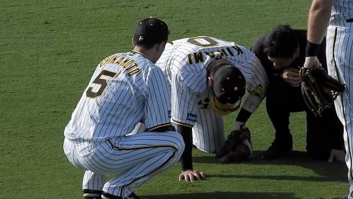 【頑張れ木浪コール】木浪聖也、背走ダイブの闘志溢れるプレー！体を打ち付けベンチに下がるもプレー続行で阪神ファンから大きな拍手 2023.9.9