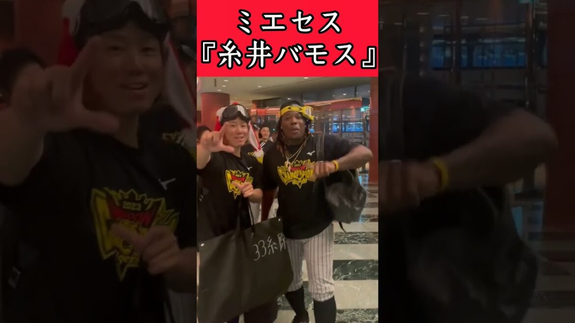 【阪神】糸原がミエセスに『糸井バモス』を教える！ #阪神 #阪神タイガース #ミエセス #shorts