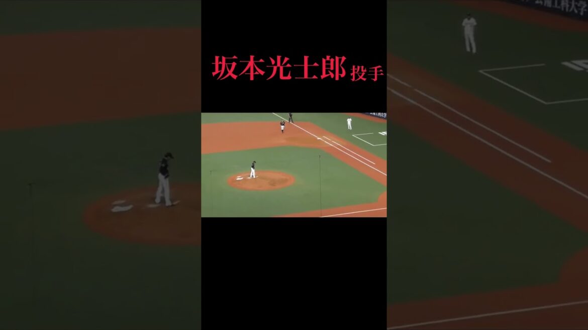 千葉ロッテ　坂本光士郎投手のストレートえぐい。横から見てもわかるキレ　#shrots